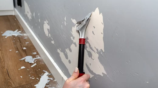 Paint stripping service