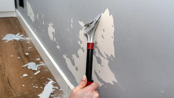 Paint stripping service